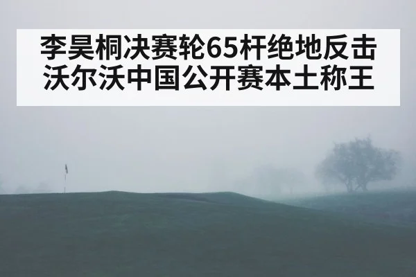 李昊桐决赛轮65杆绝地反击沃尔沃中国公开赛本土称王